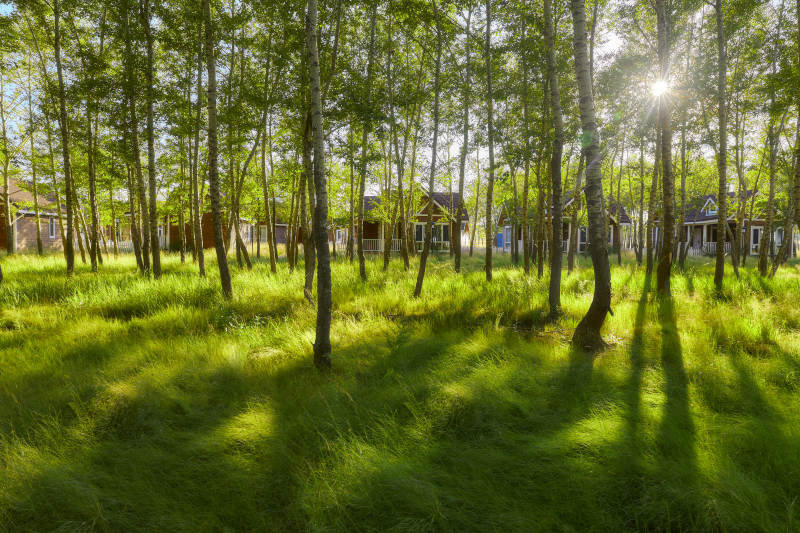 河北沽源库伦淖而旅游度假村别墅区森林草地图片