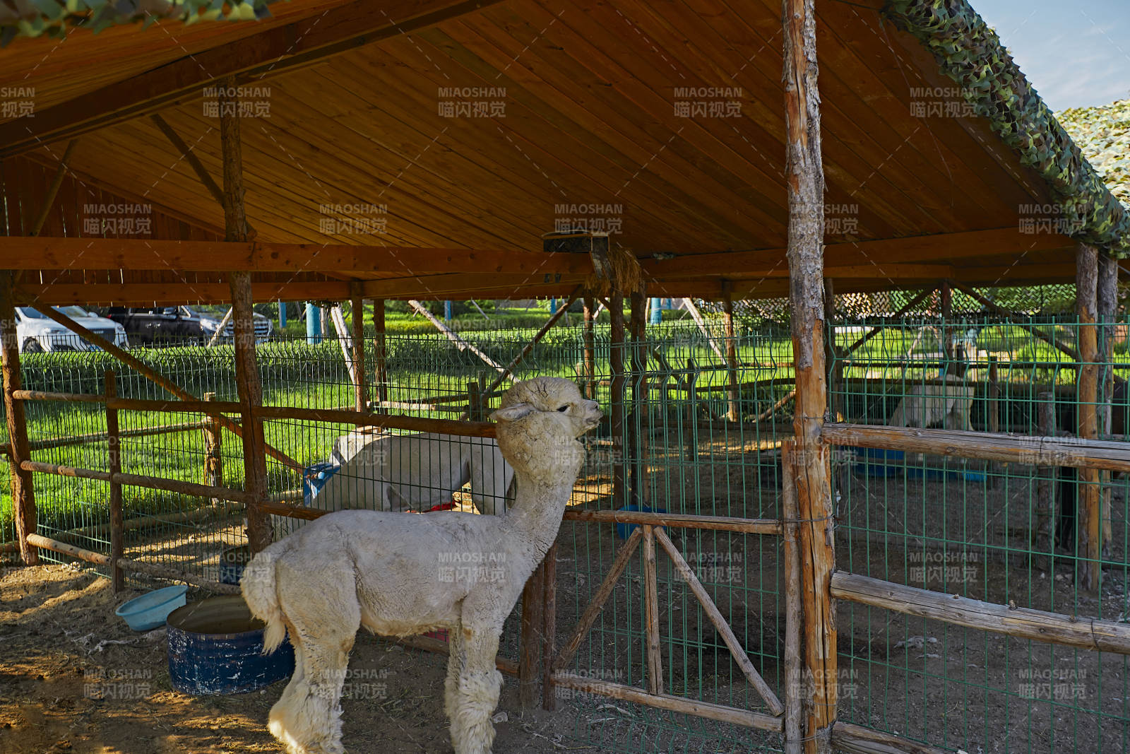 郊外休闲公园环艺环境及设施图片