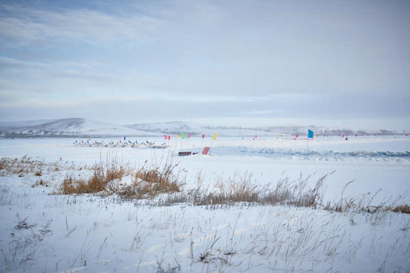 冬季森林自然风景图片