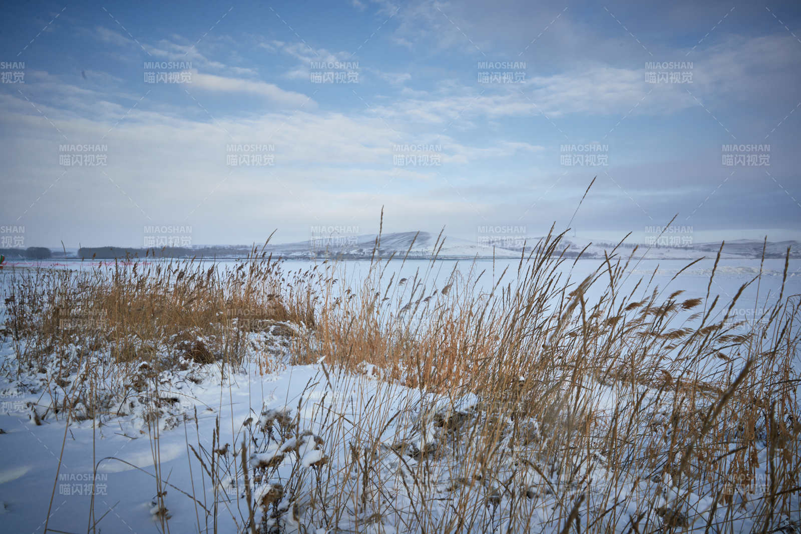 冬季森林自然风景图片