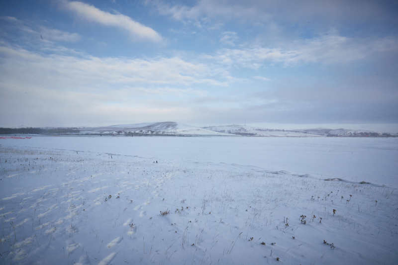 冬季森林自然风景图片
