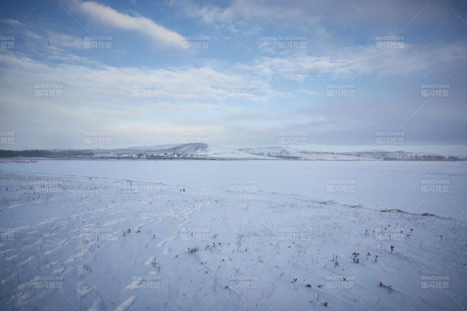冬季森林自然风景图片