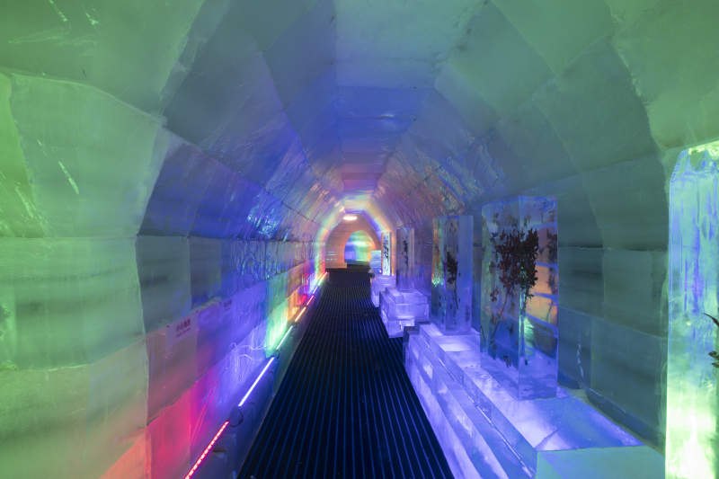 冰雪城堡内彩色光影照映的梦幻冰客房图片