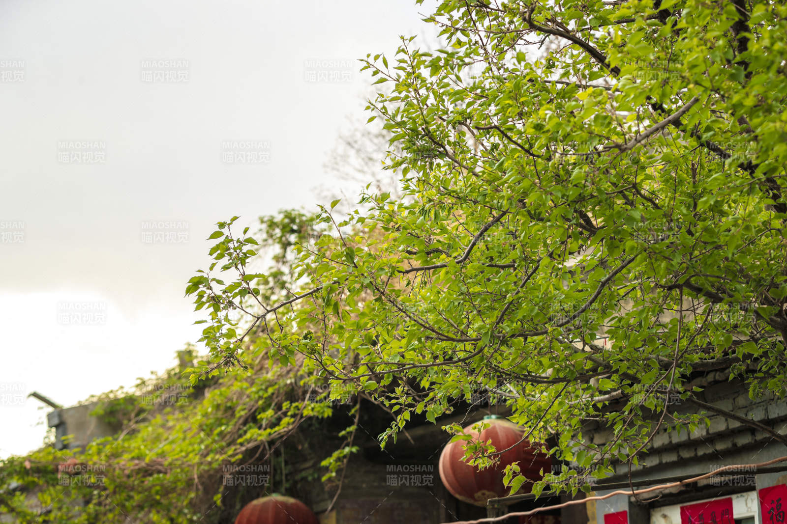 中国河北省张家口市堡子里景区晋商明清建筑图片