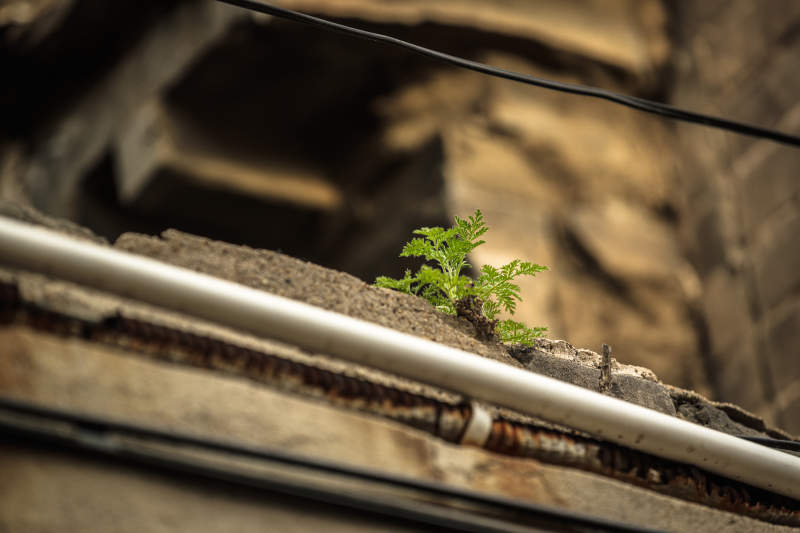 中国河北省张家口市堡子里景区夏天老建筑图片