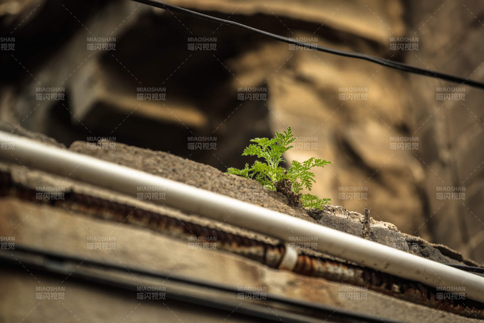 中国河北省张家口市堡子里景区夏天老建筑图片