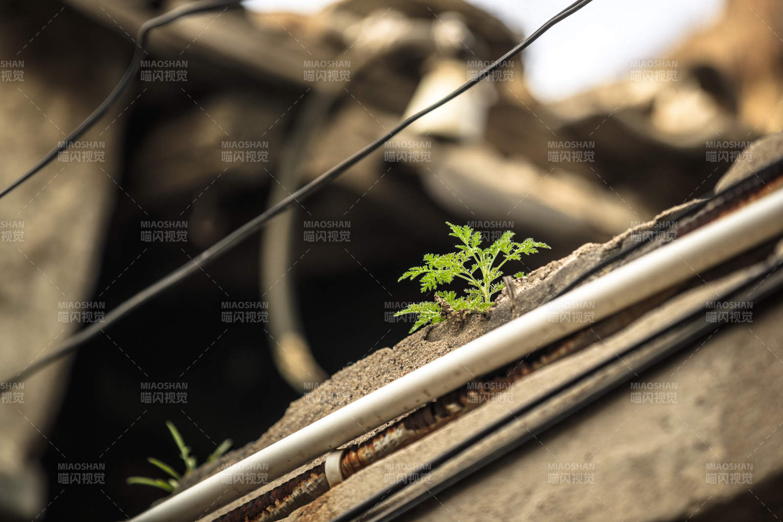 中国河北省张家口市堡子里景区夏天老建筑图片