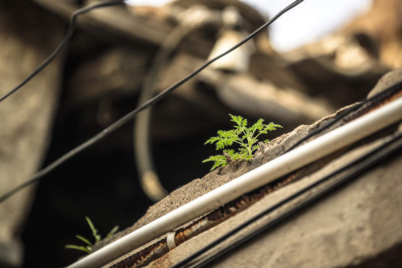 中国河北省张家口市堡子里景区夏天老建筑图片