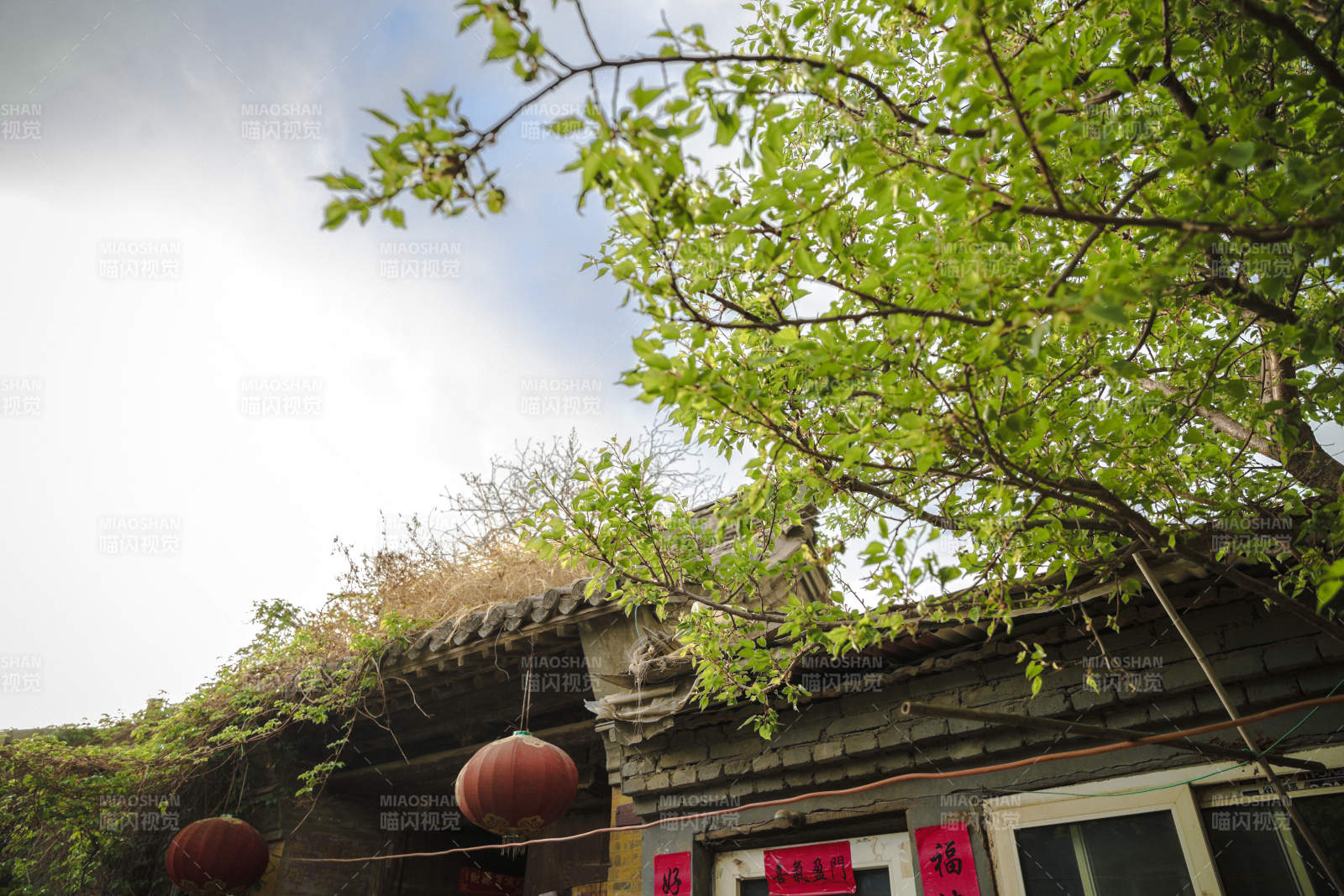 中国河北省张家口市堡子里景区晋商明清建筑图片