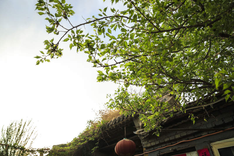 中国河北省张家口市堡子里景区晋商明清建筑图片