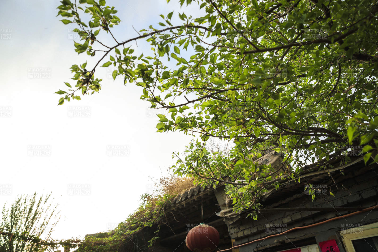 中国河北省张家口市堡子里景区晋商明清建筑图片