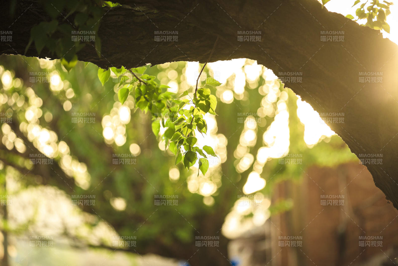 中国河北省张家口市堡子里景区夏天老建筑图片