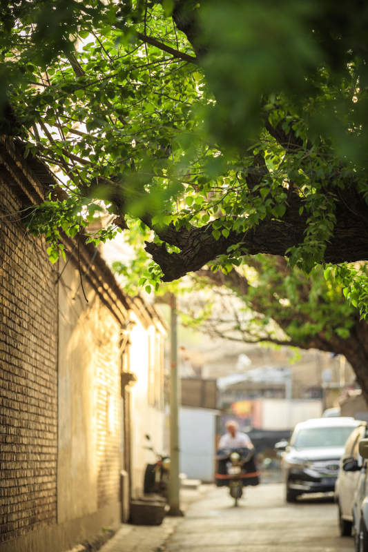 中国河北省张家口市堡子里景区夏天老建筑图片