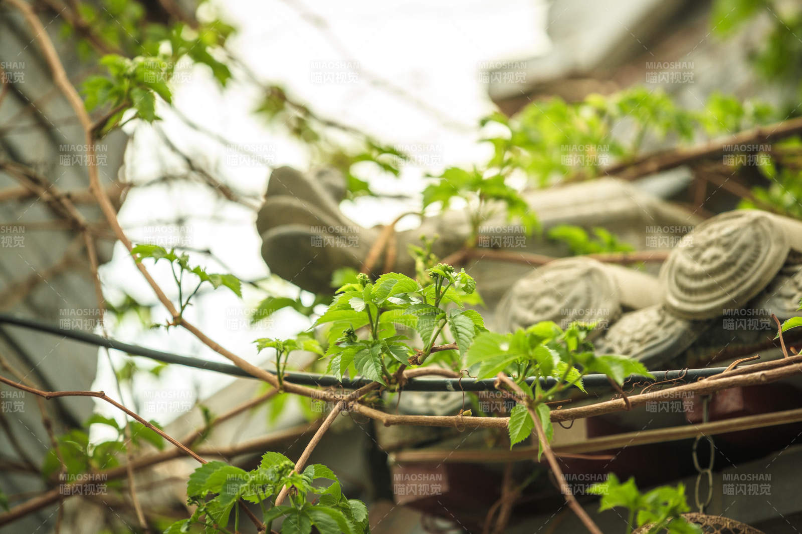 中国河北省张家口市堡子里景区夏天老建筑图片