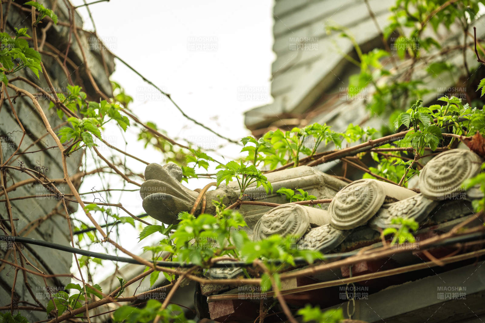 中国河北省张家口市堡子里景区夏天老建筑图片