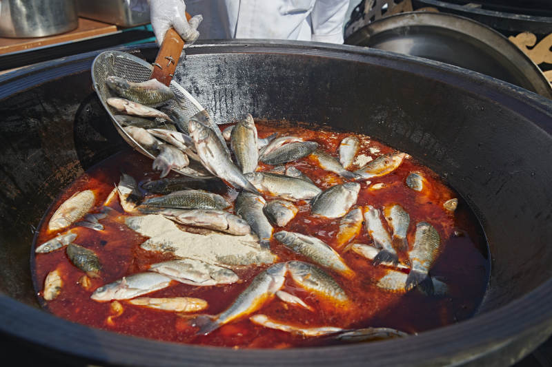 户外柴火铁锅炖煮的刚捕捞的野生鱼汤图片