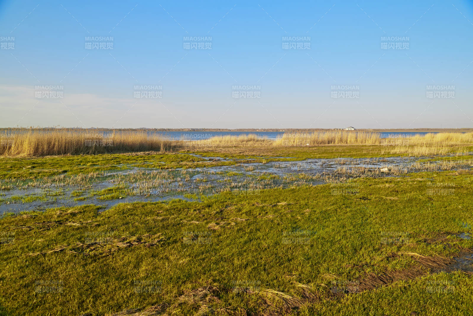 河北省沽源县天鹅湖湿地草原图片