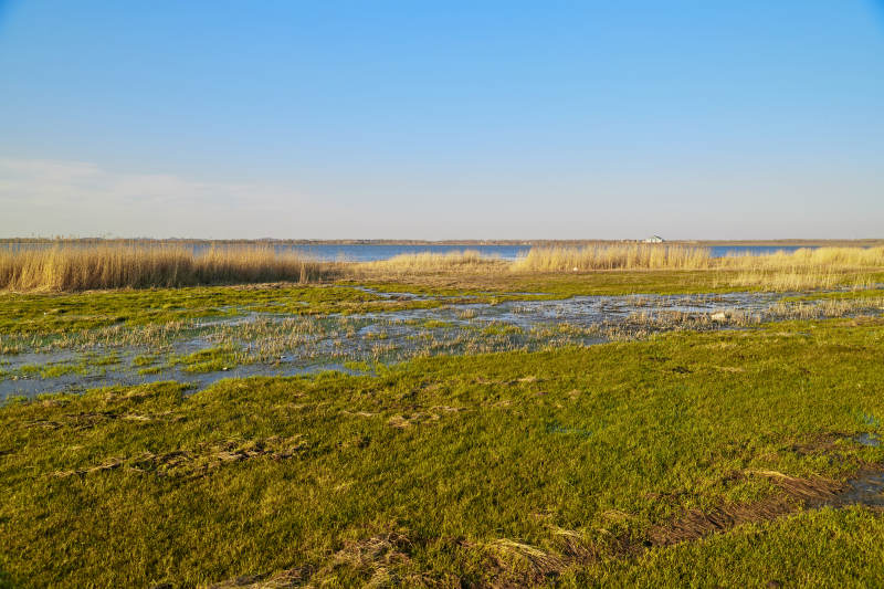河北省沽源县天鹅湖湿地草原图片