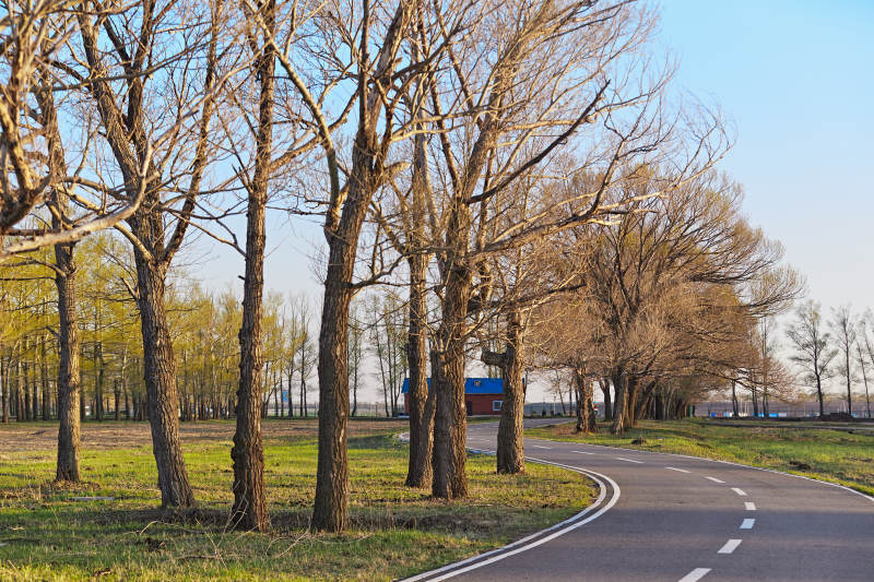 河北省沽源县天鹅湖湿地公园风景图片