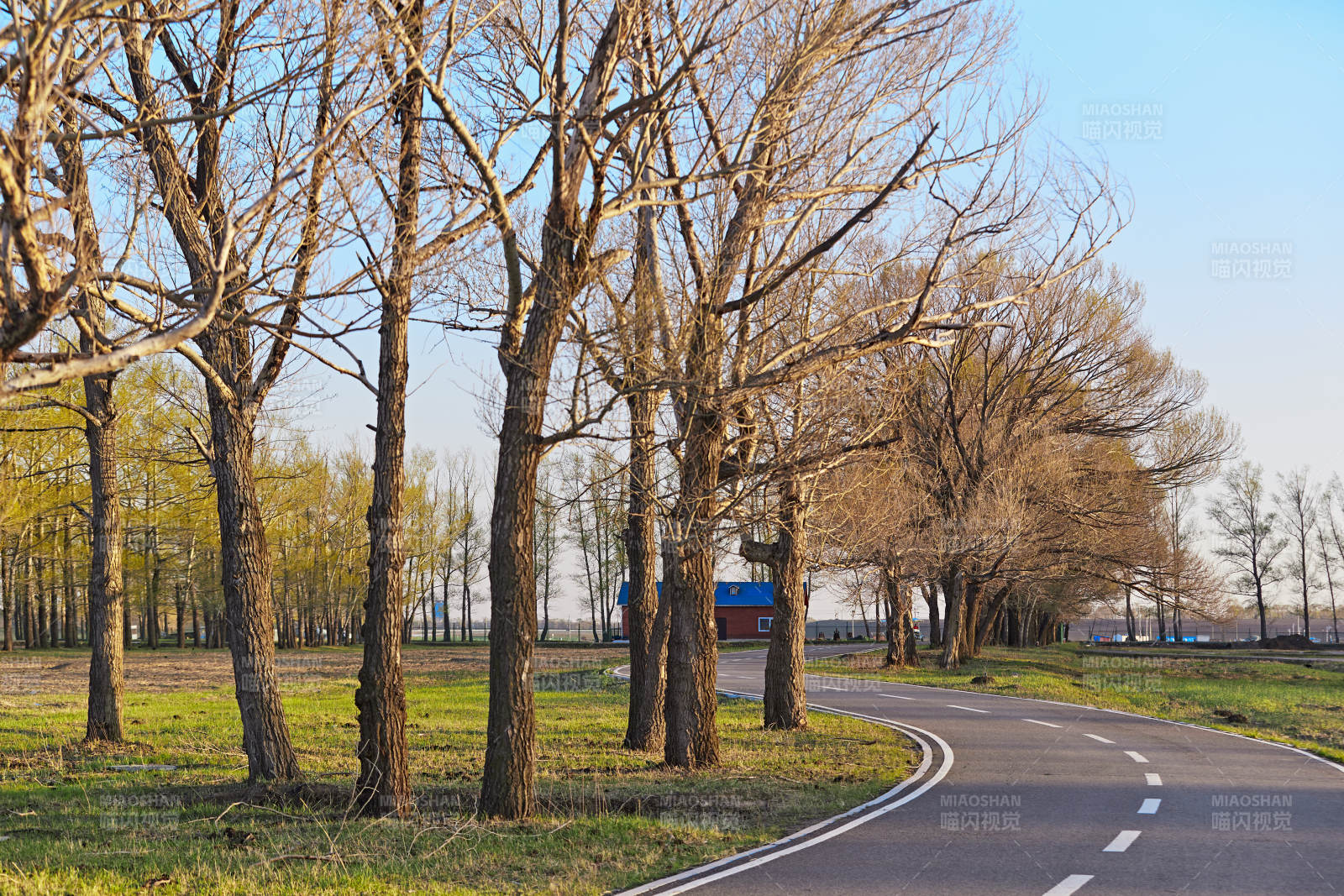 河北省沽源县天鹅湖湿地公园风景图片