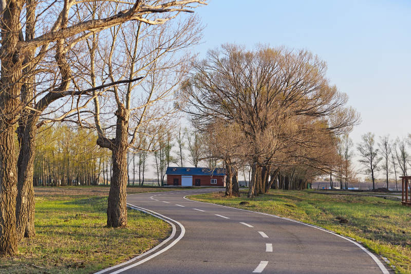 河北省沽源县天鹅湖湿地公园风景图片