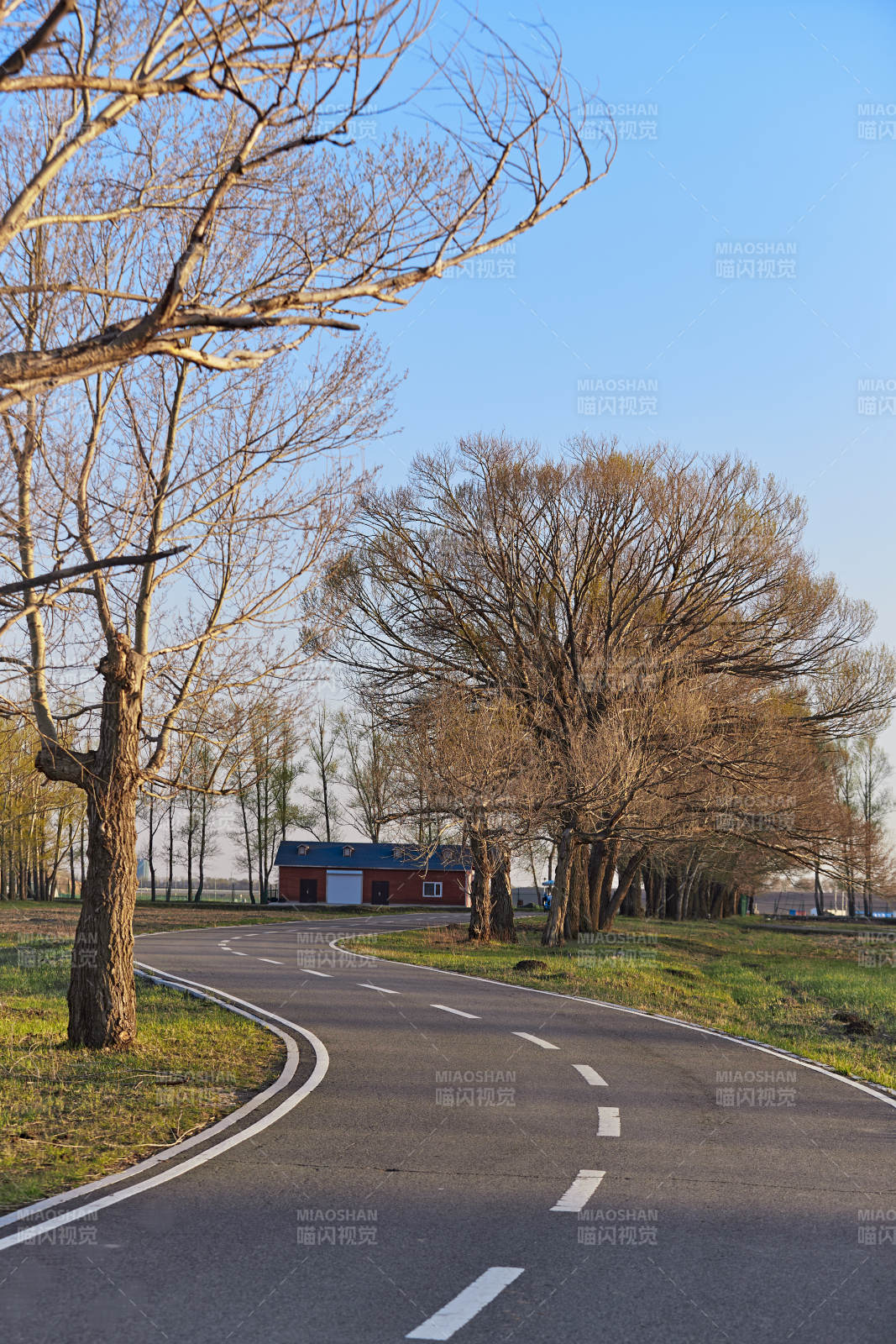 河北省沽源县天鹅湖湿地公园风景图片