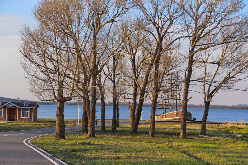 河北省沽源县天鹅湖湿地公园风景图片