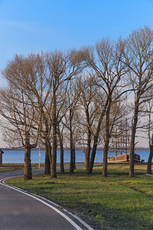 河北省沽源县天鹅湖湿地公园风景图片