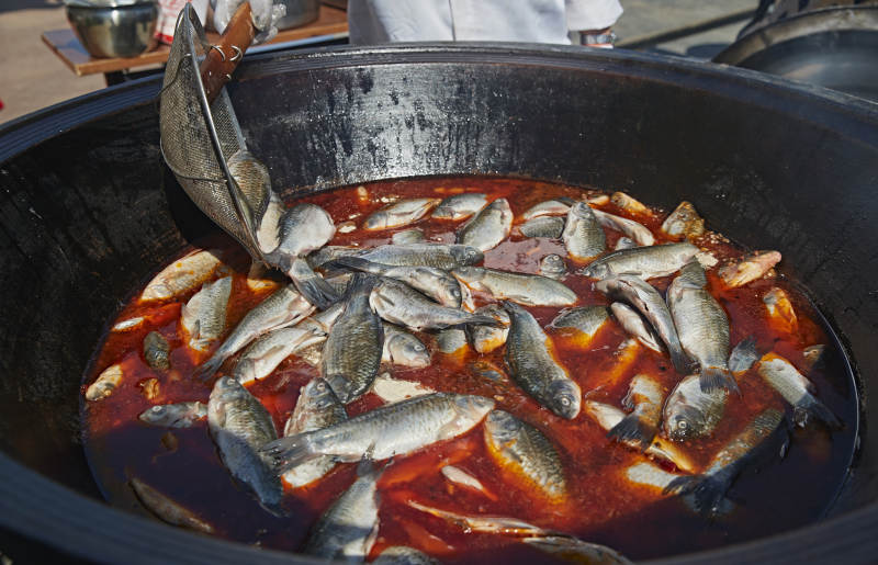 户外柴火铁锅炖煮的刚捕捞的野生鱼汤图片