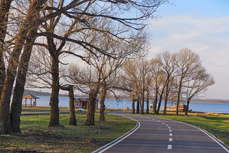 河北省沽源县天鹅湖湿地公园风景图片