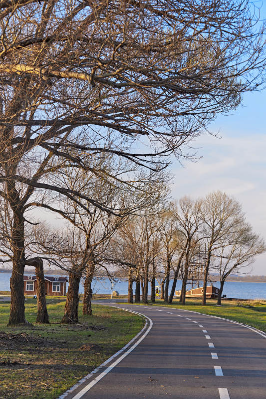 河北省沽源县天鹅湖湿地公园风景图片