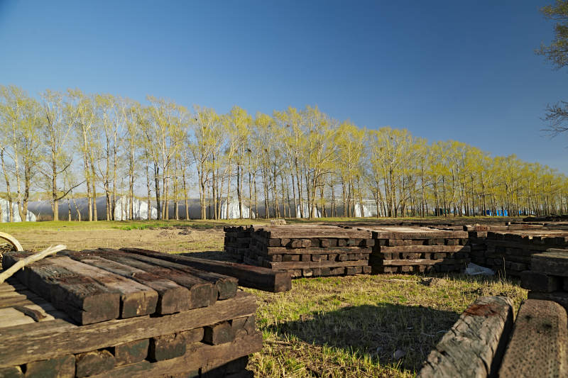 春天户外堆放在一起的木头图片