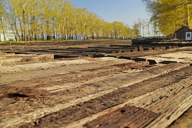 春天户外堆放在一起的木头图片