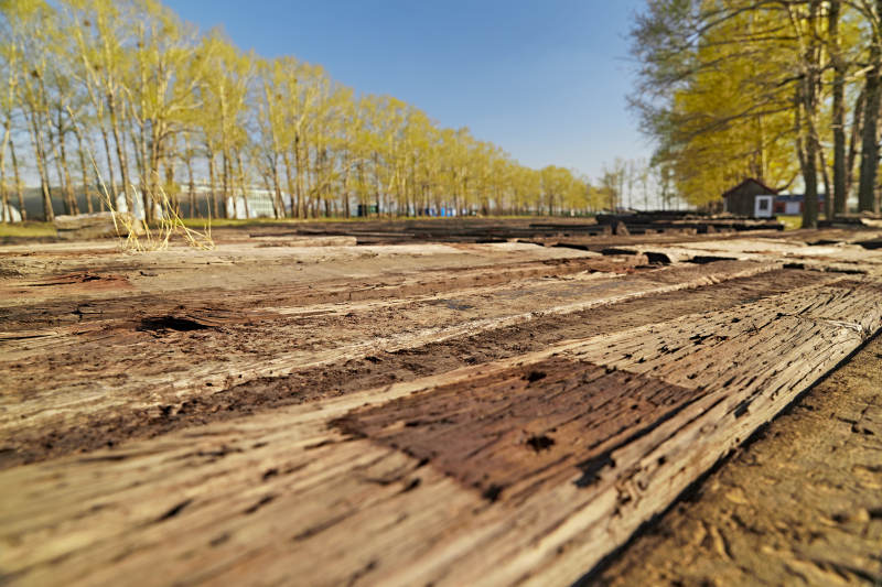 春天户外堆放在一起的木头图片