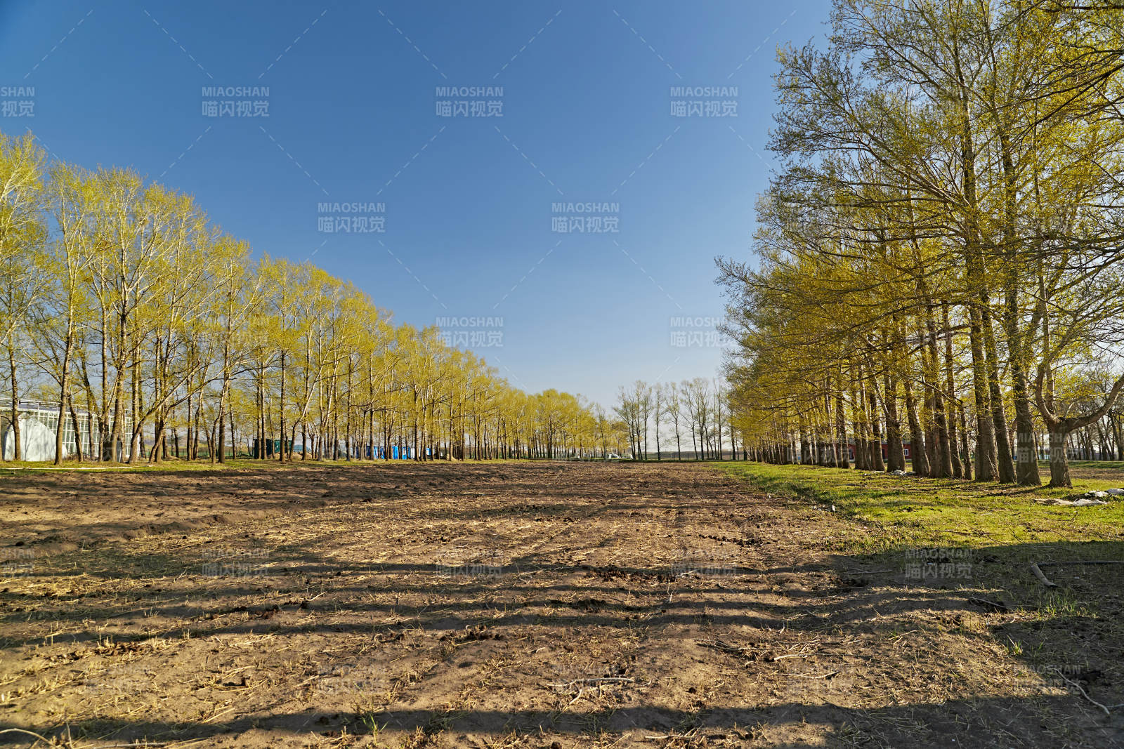 河北省沽源县春季开垦的农田图片