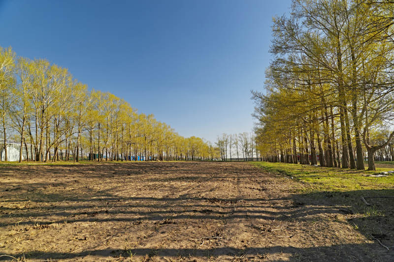 河北省沽源县春季开垦的农田图片