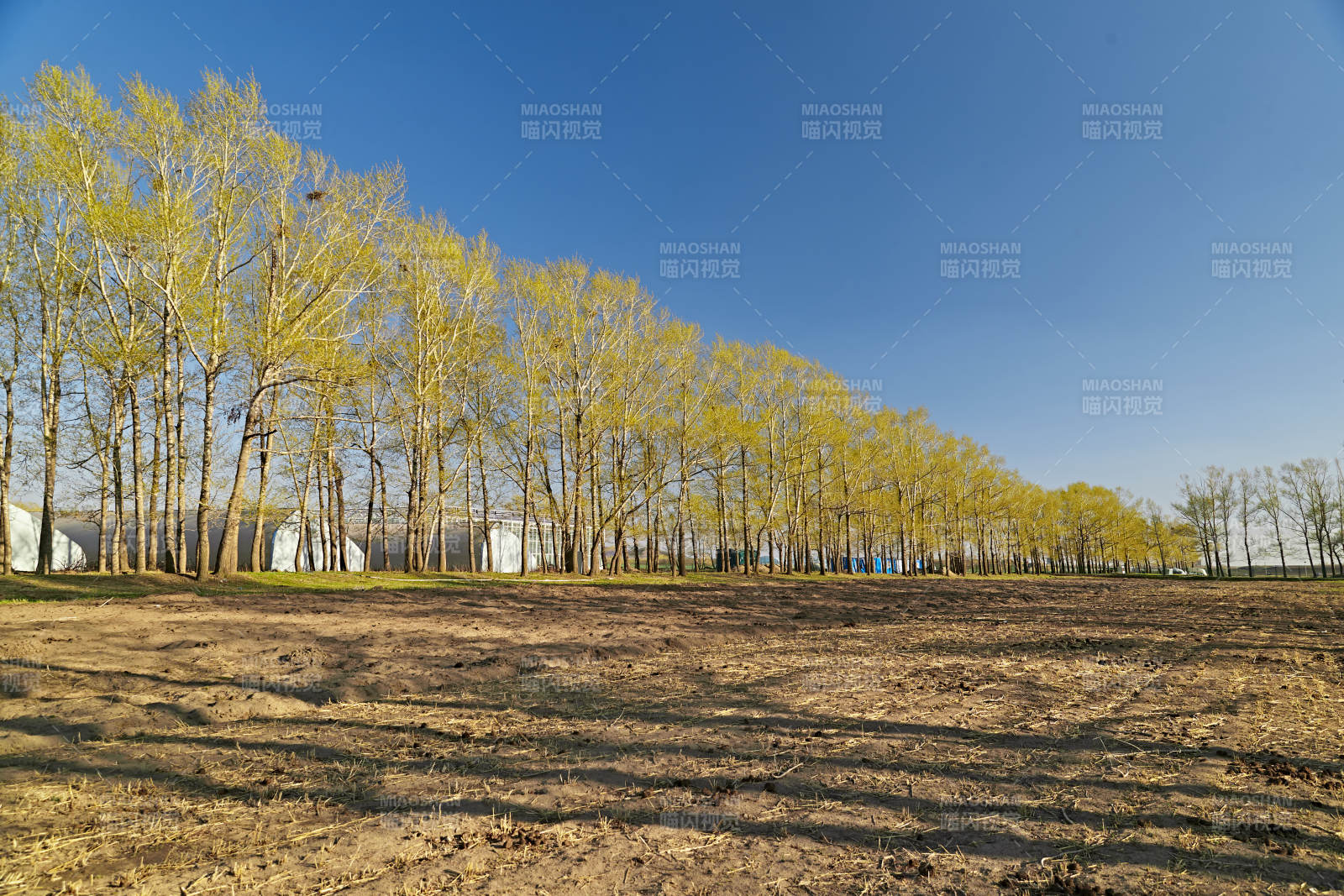 河北省沽源县春季开垦的农田图片