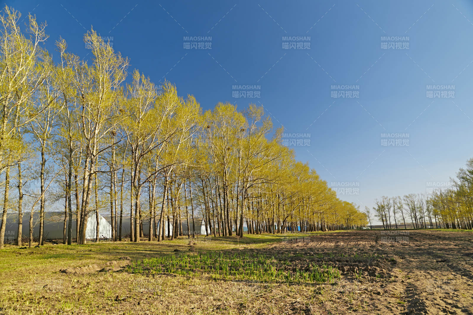 河北省沽源县春季开垦的农田图片