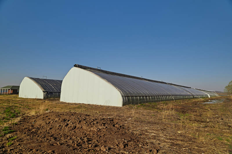 河北省沽源县库伦淖尔景区春季蔬菜大棚图片