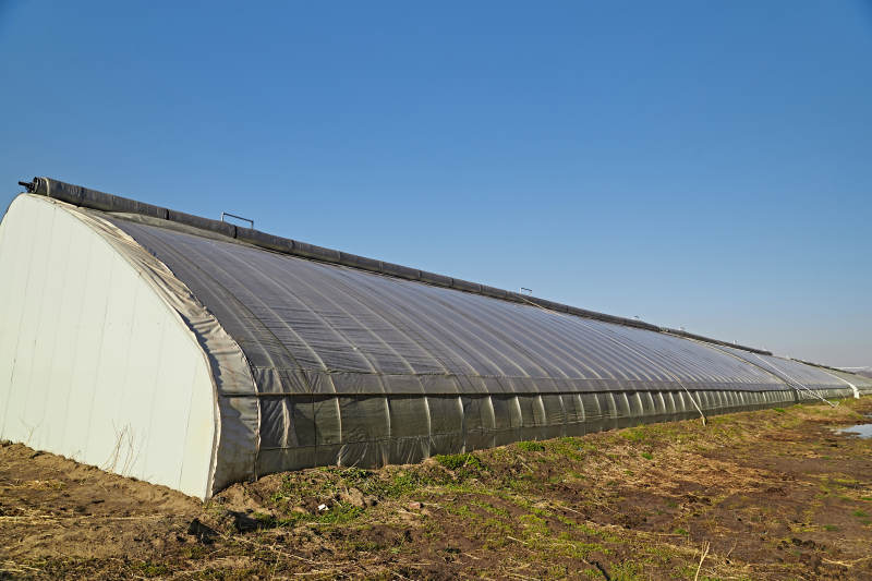 河北省沽源县库伦淖尔景区春季蔬菜大棚图片