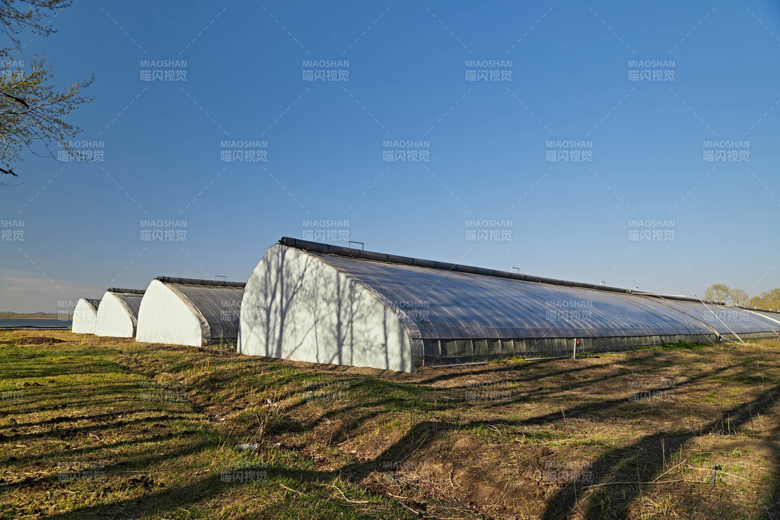 河北省沽源县库伦淖尔景区春季蔬菜大棚图片