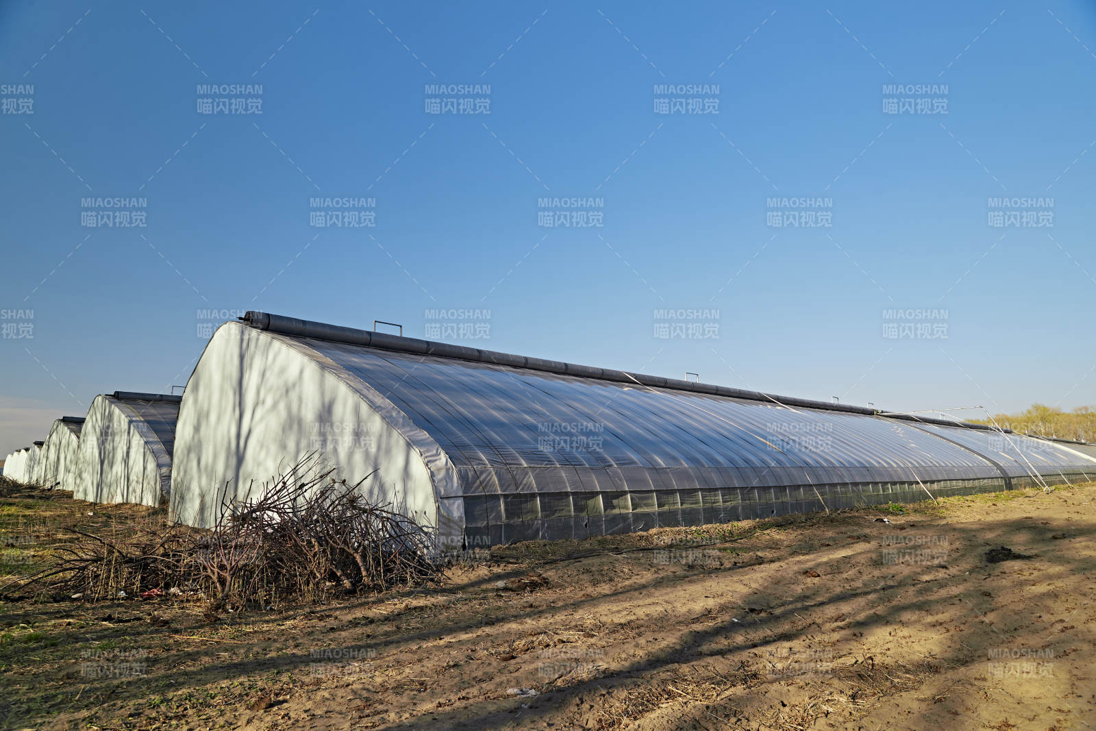 河北省沽源县库伦淖尔景区春季蔬菜大棚图片