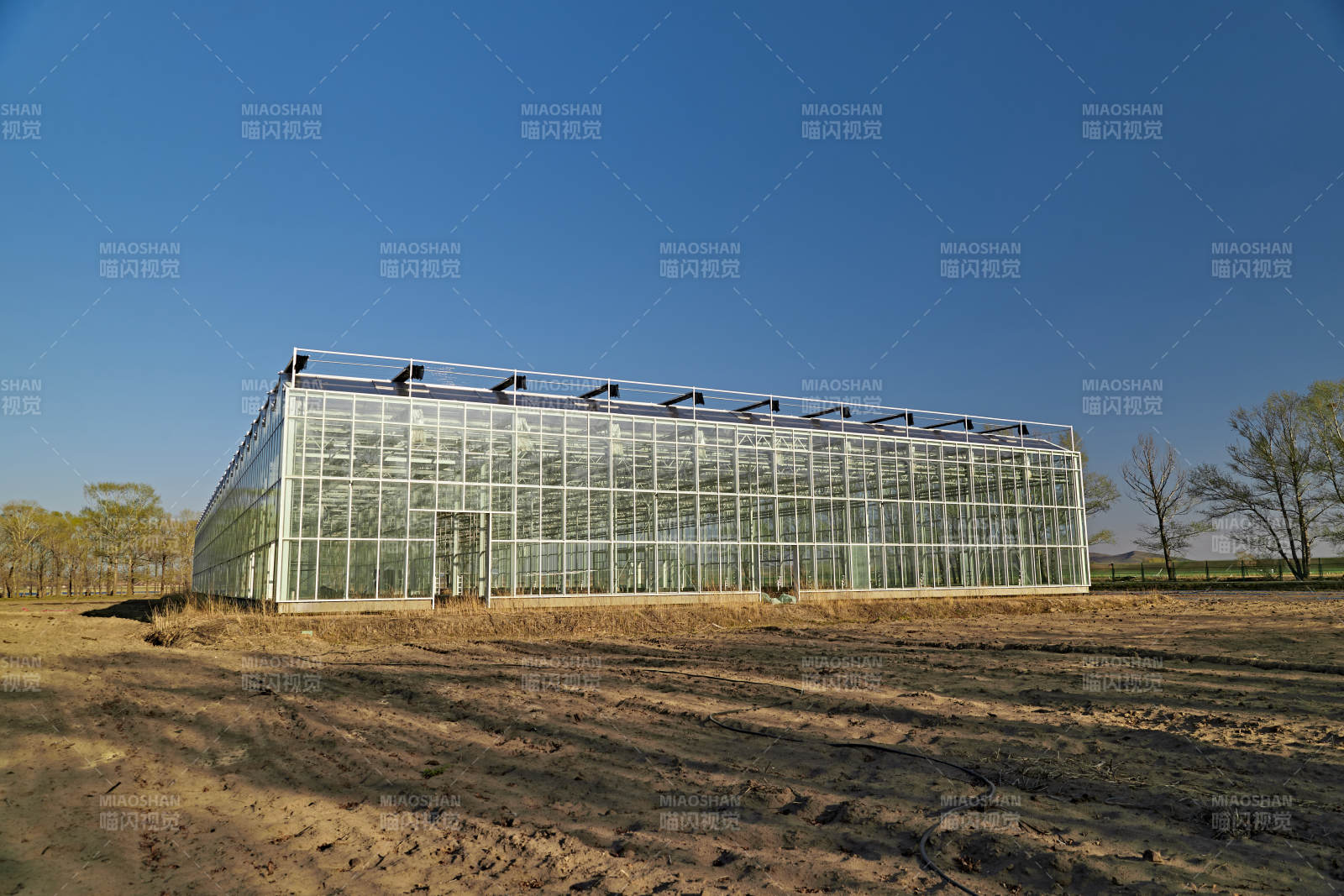 河北省沽源县库伦淖尔景区春季蔬菜大棚图片