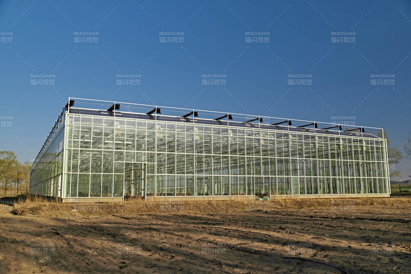 河北省沽源县库伦淖尔景区春季蔬菜大棚图片