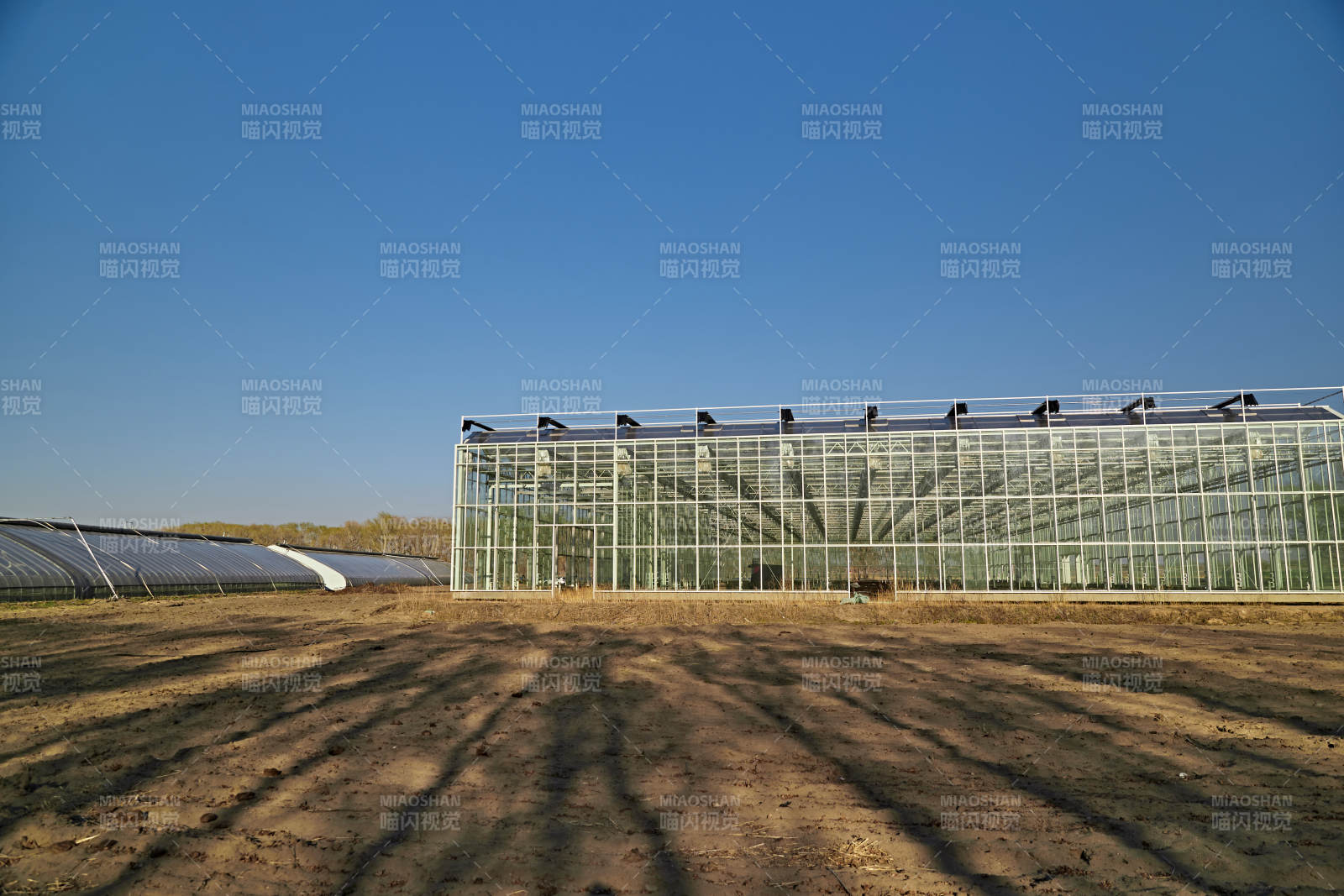 河北省沽源县库伦淖尔景区春季蔬菜大棚图片