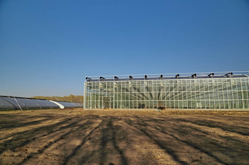 河北省沽源县库伦淖尔景区春季蔬菜大棚图片