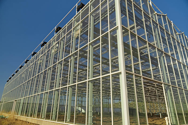 河北省沽源县库伦淖尔景区春季蔬菜大棚图片