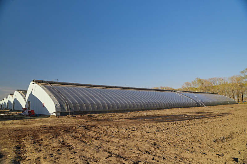 河北省沽源县库伦淖尔景区春季蔬菜大棚图片