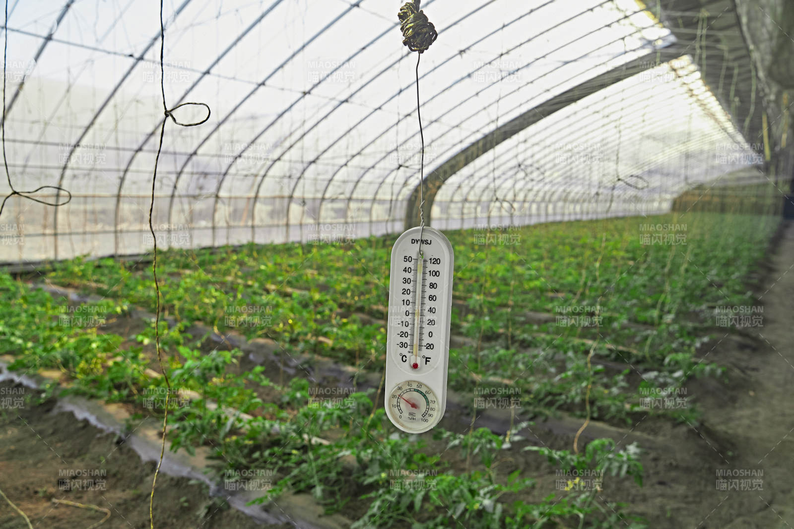 河北省沽源县库伦淖尔景区春季蔬菜大棚图片