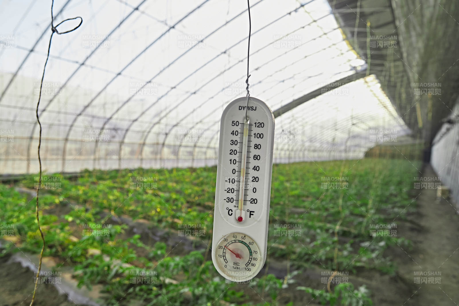 河北省沽源县库伦淖尔景区春季蔬菜大棚图片